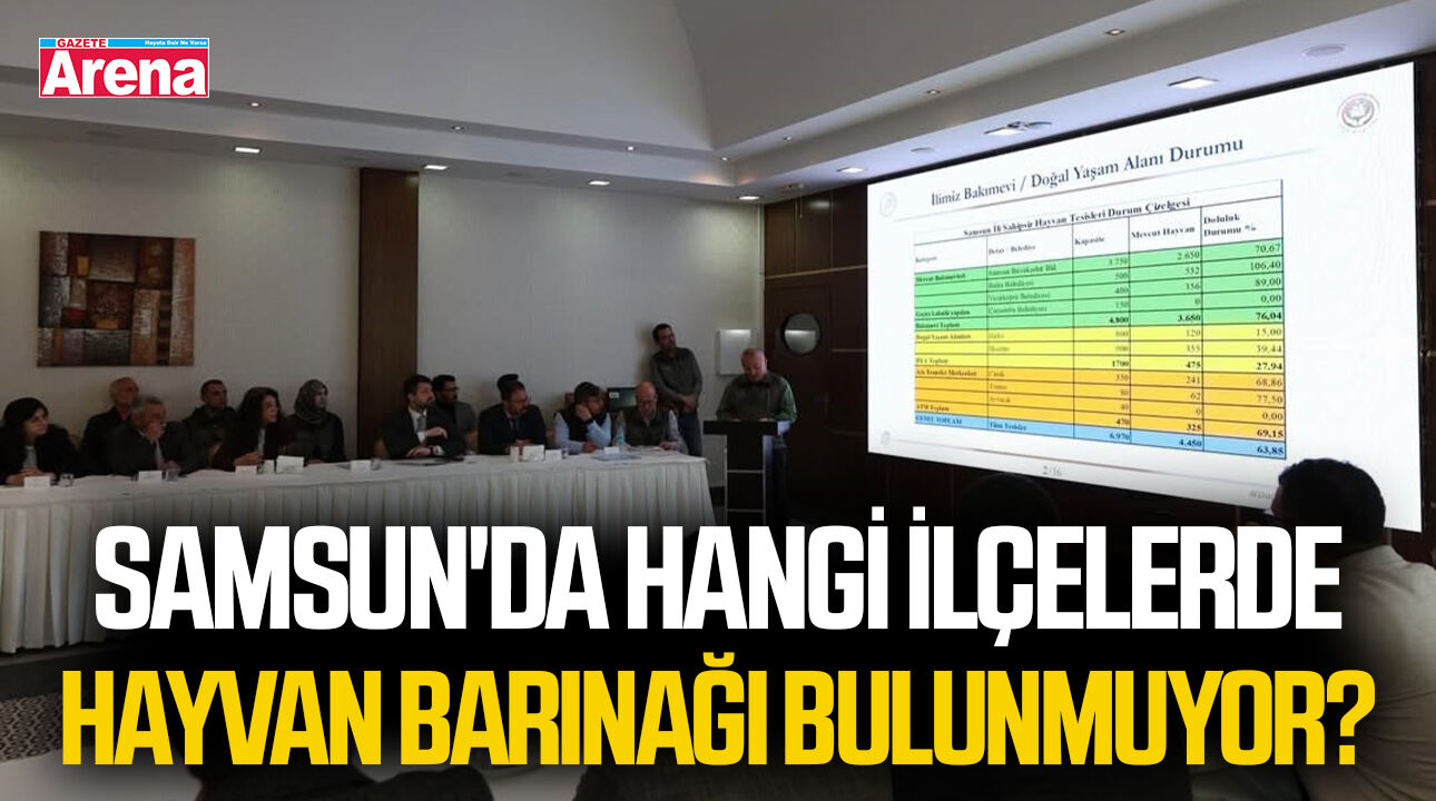 Samsun'da hangi ilçelerde hayvan barınağı bulunmuyor?