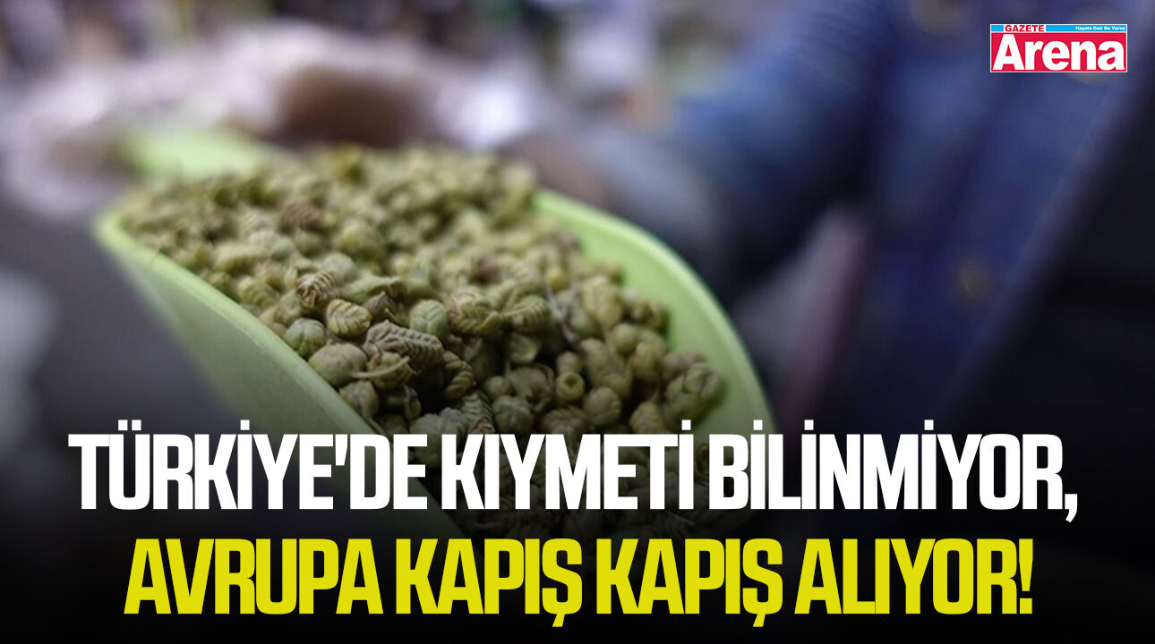 Türkiye'de kıymeti bilinmiyor, Avrupa kapış kapış alıyor!