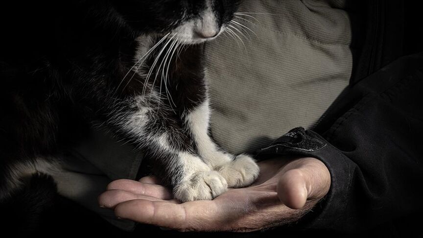 Thumbs B C Bf916Cded9568C50B621654D6Fbe8D56