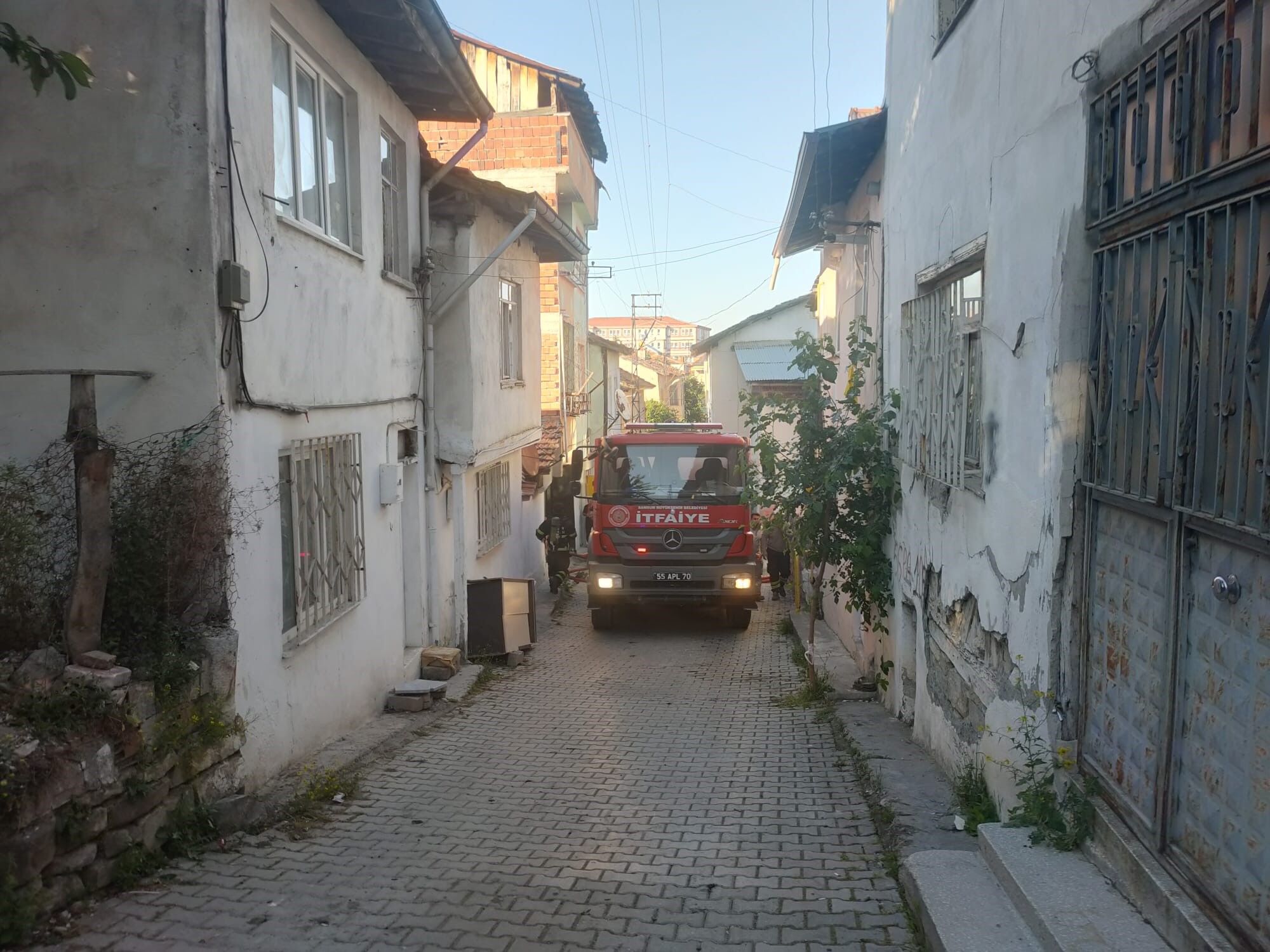 A W733815 03