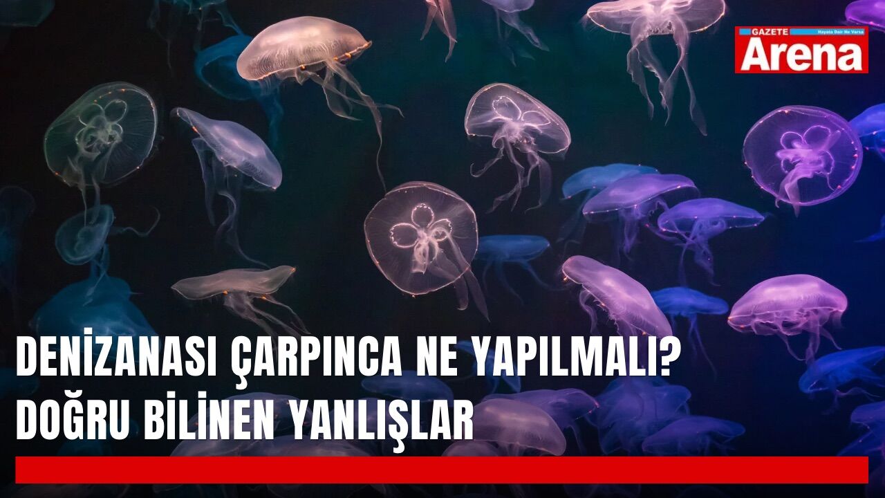 Denizanası çarpınca ne yapılmalı? Doğru bilinen yanlışlar