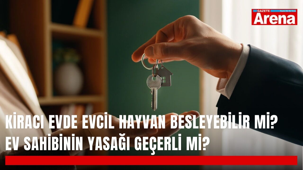Kiracı evde evcil hayvan besleyebilir mi? Ev sahibinin yasağı geçerli mi?