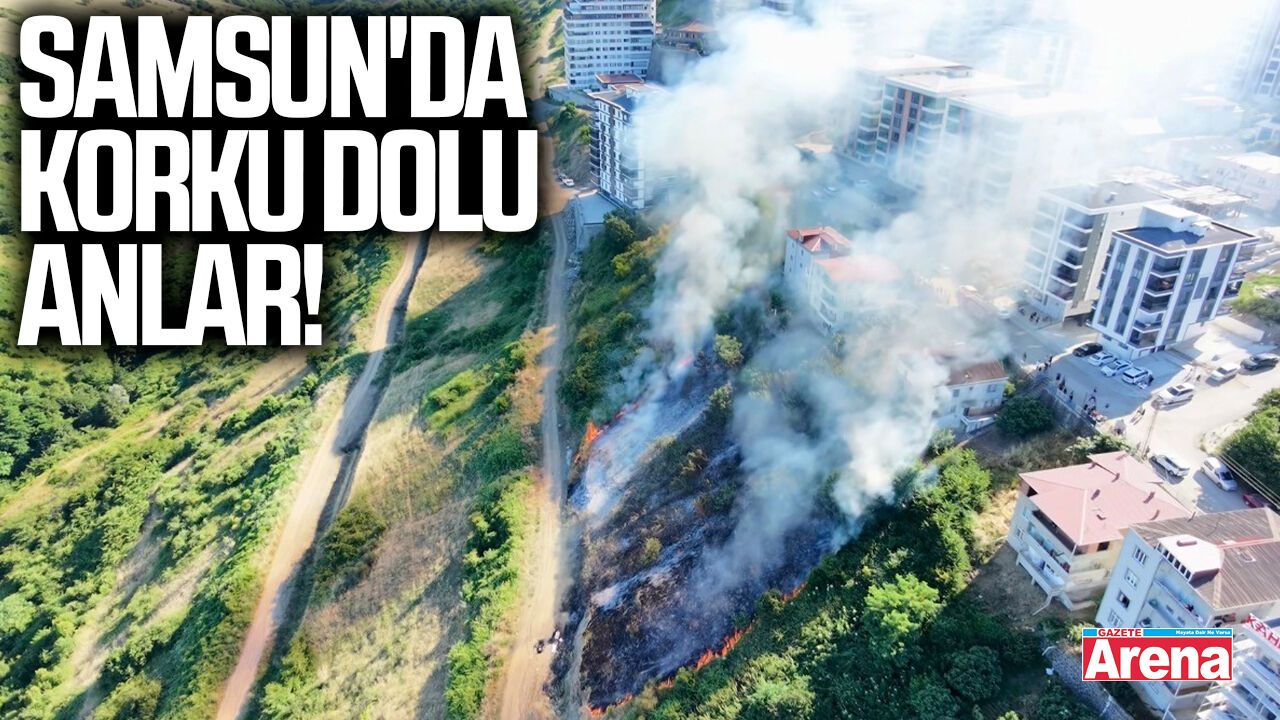 Samsun'da korkutan anız yangını!
