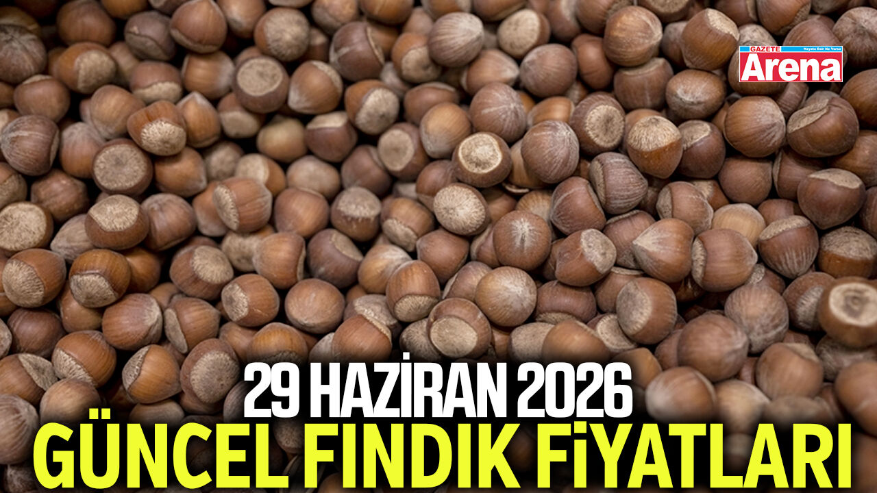 29 Haziran 2026 güncel fındık fiyatları