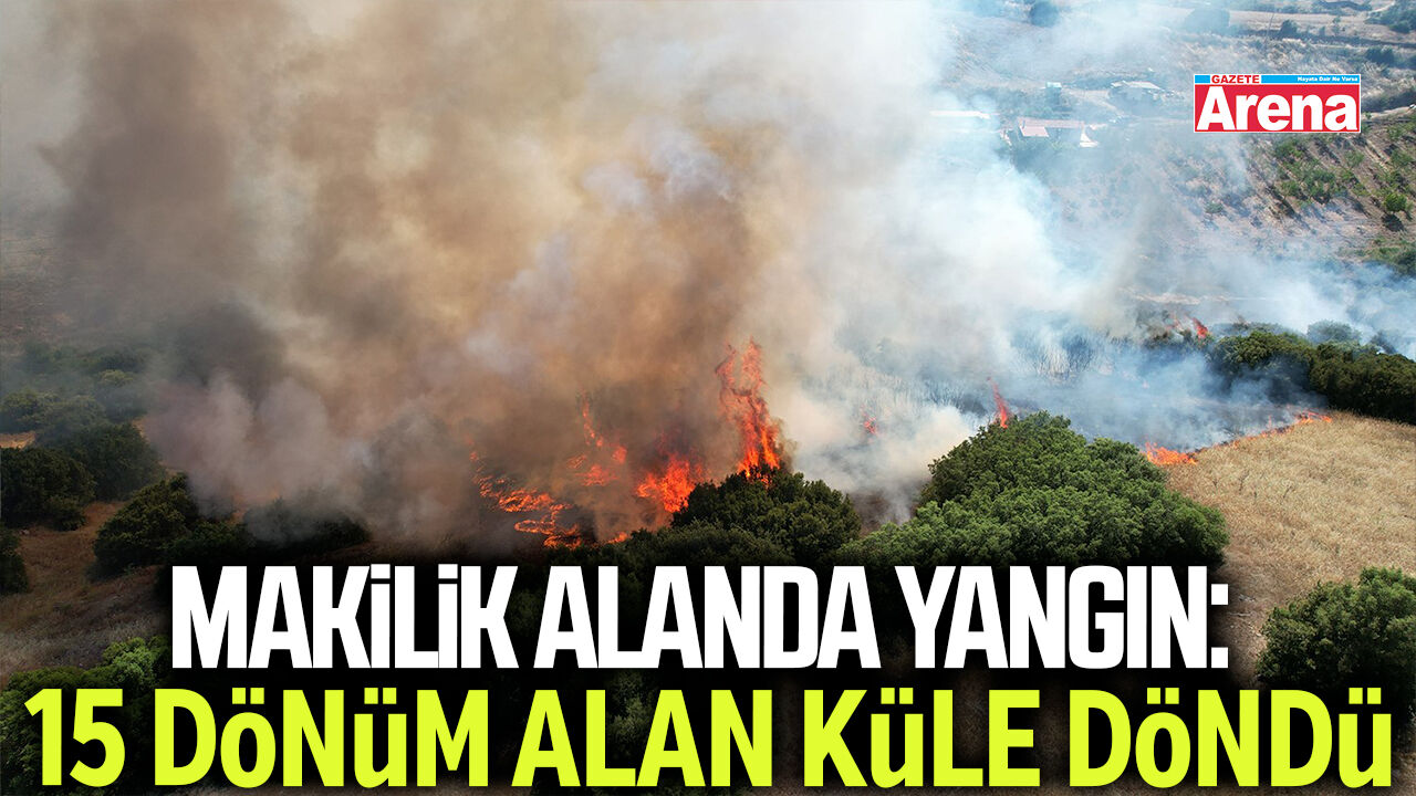Makilik alanda yangın: 15 dönüm alan küle döndü