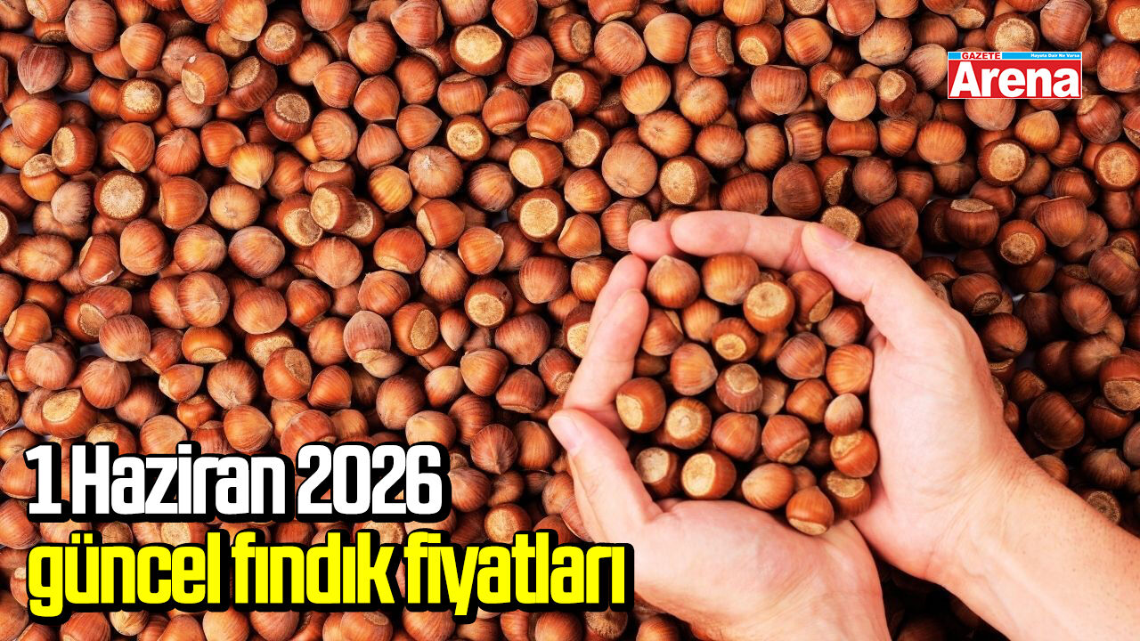 1 Haziran 2026 güncel fındık fiyatları