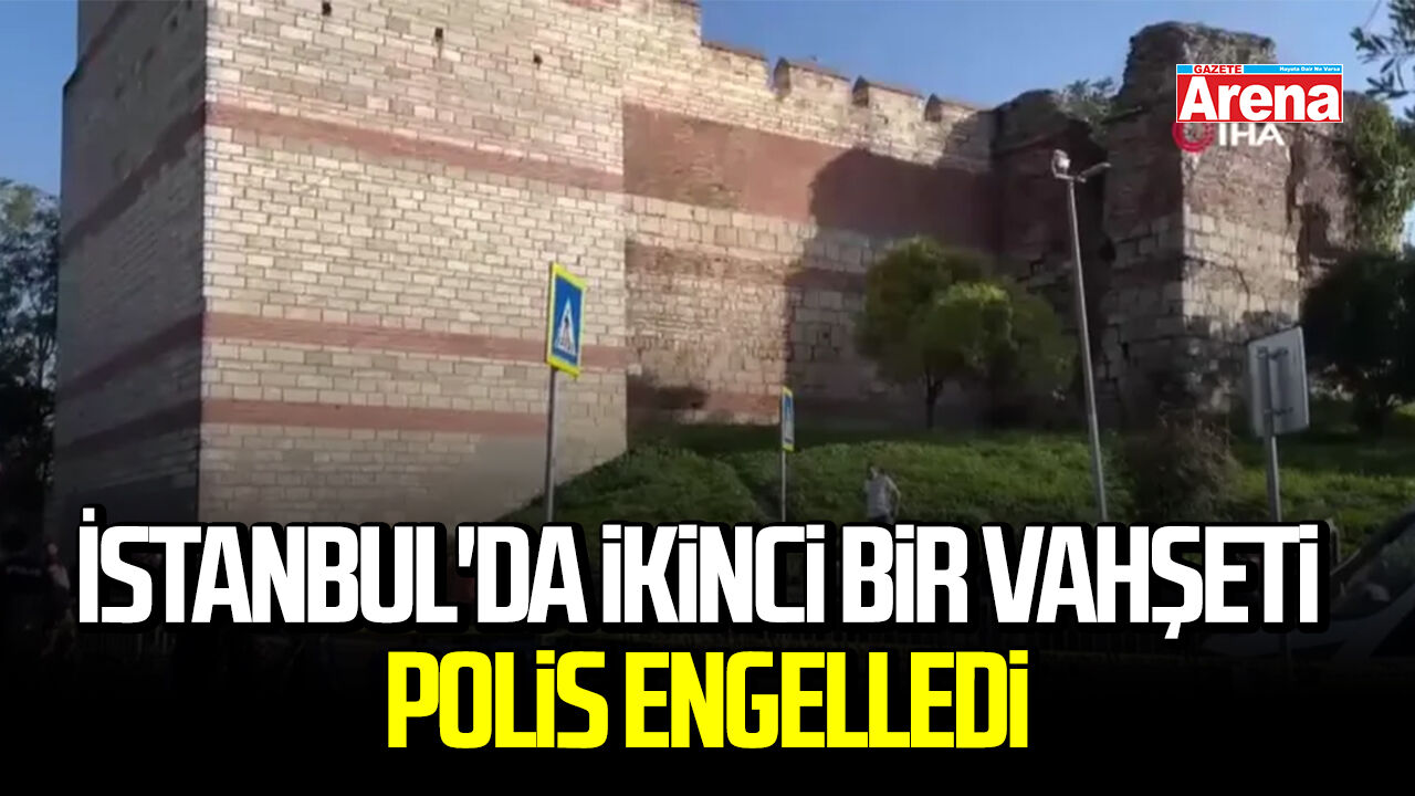 İstanbul'da ikinci bir vahşeti polis engelledi