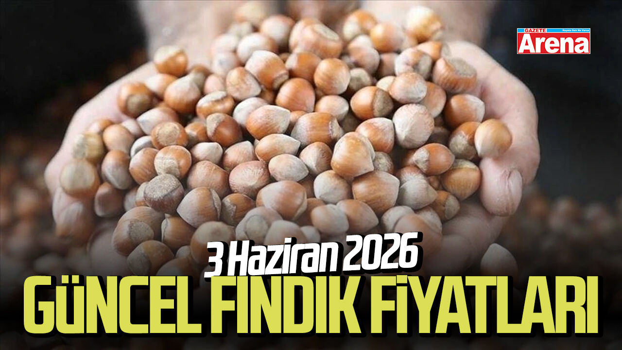 3 Haziran 2026 güncel fındık fiyatları