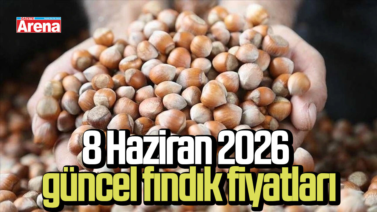 8 Haziran 2026 güncel fındık fiyatları