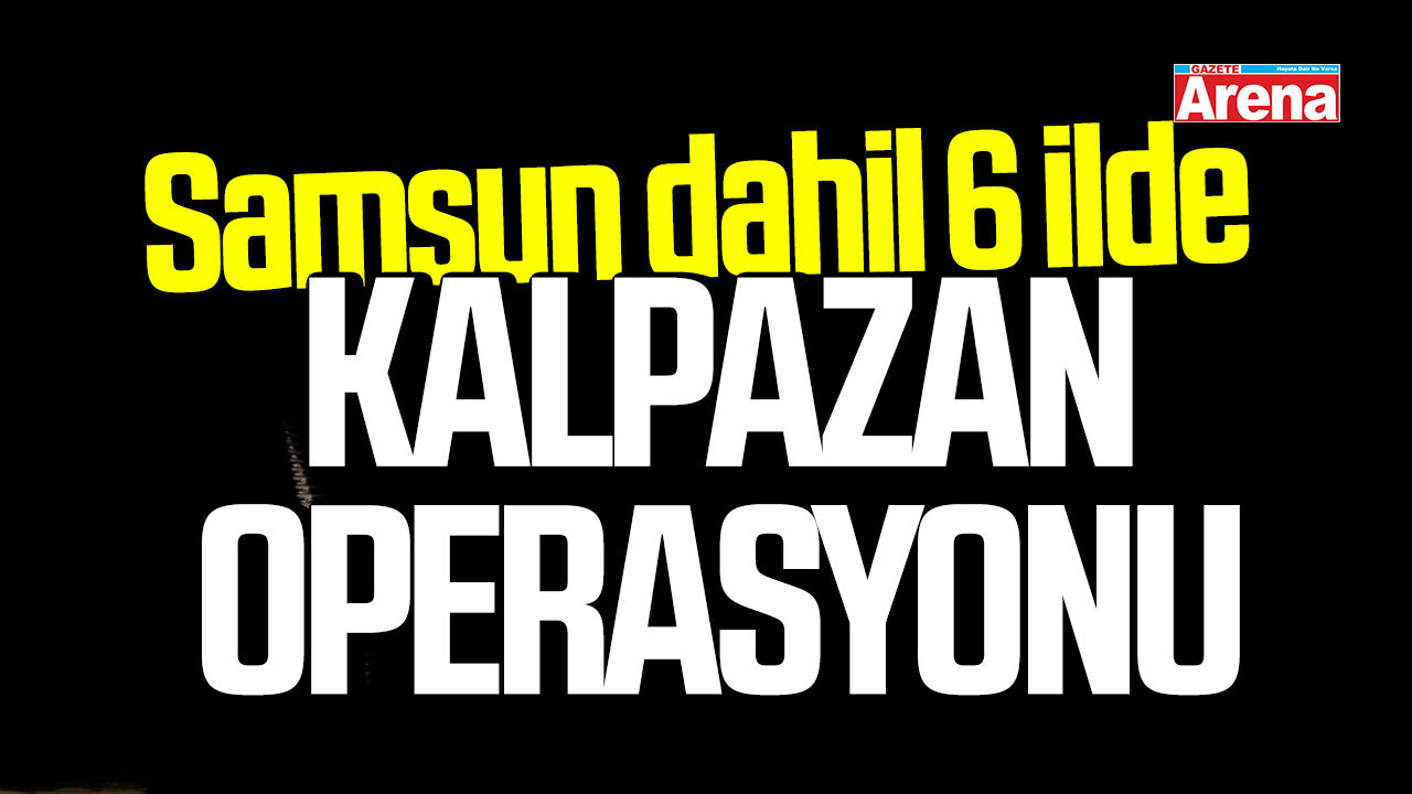 Samsun dahil 6 ilde kalpazan operasyonu
