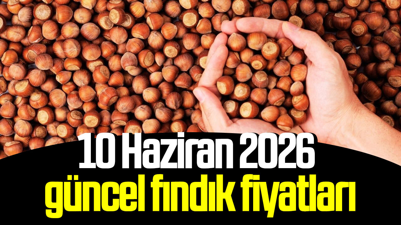 10 Haziran 2026 güncel fındık fiyatları