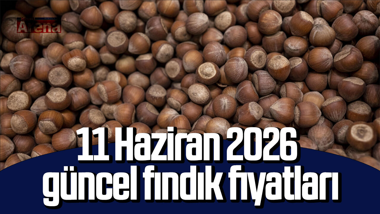 11 Haziran 2026 güncel fındık fiyatları