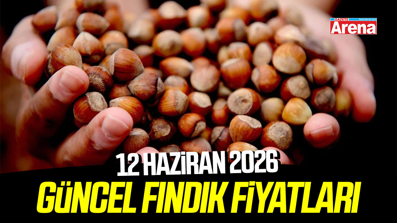 12 Haziran 2026 güncel fındık fiyatları