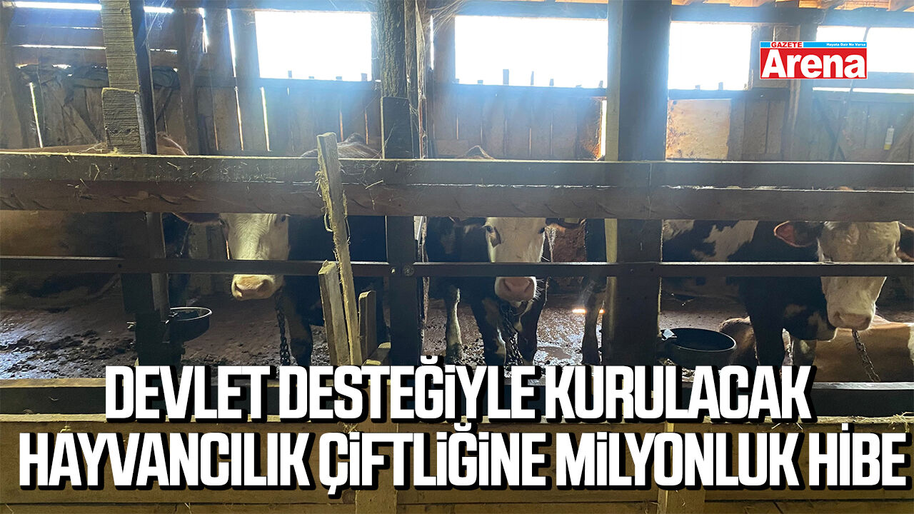 Devlet desteğiyle kurulacak hayvancılık çiftliğine milyonluk hibe