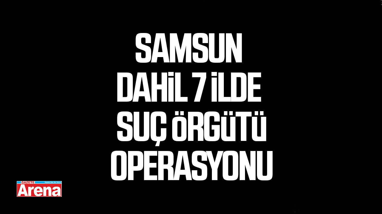Samsun dahil 7 ilde suç örgütü operasyonu