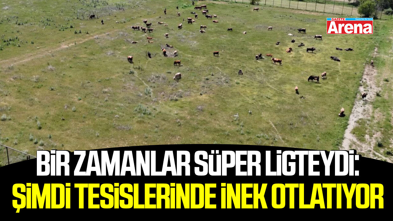 Bir zamanlar Süper Ligteydi: Şimdi tesislerinde inek otlatıyor