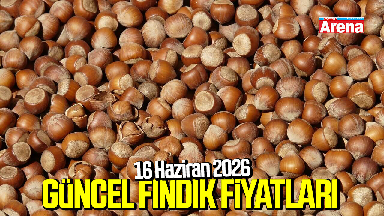 16 Haziran 2026 güncel fındık fiyatları
