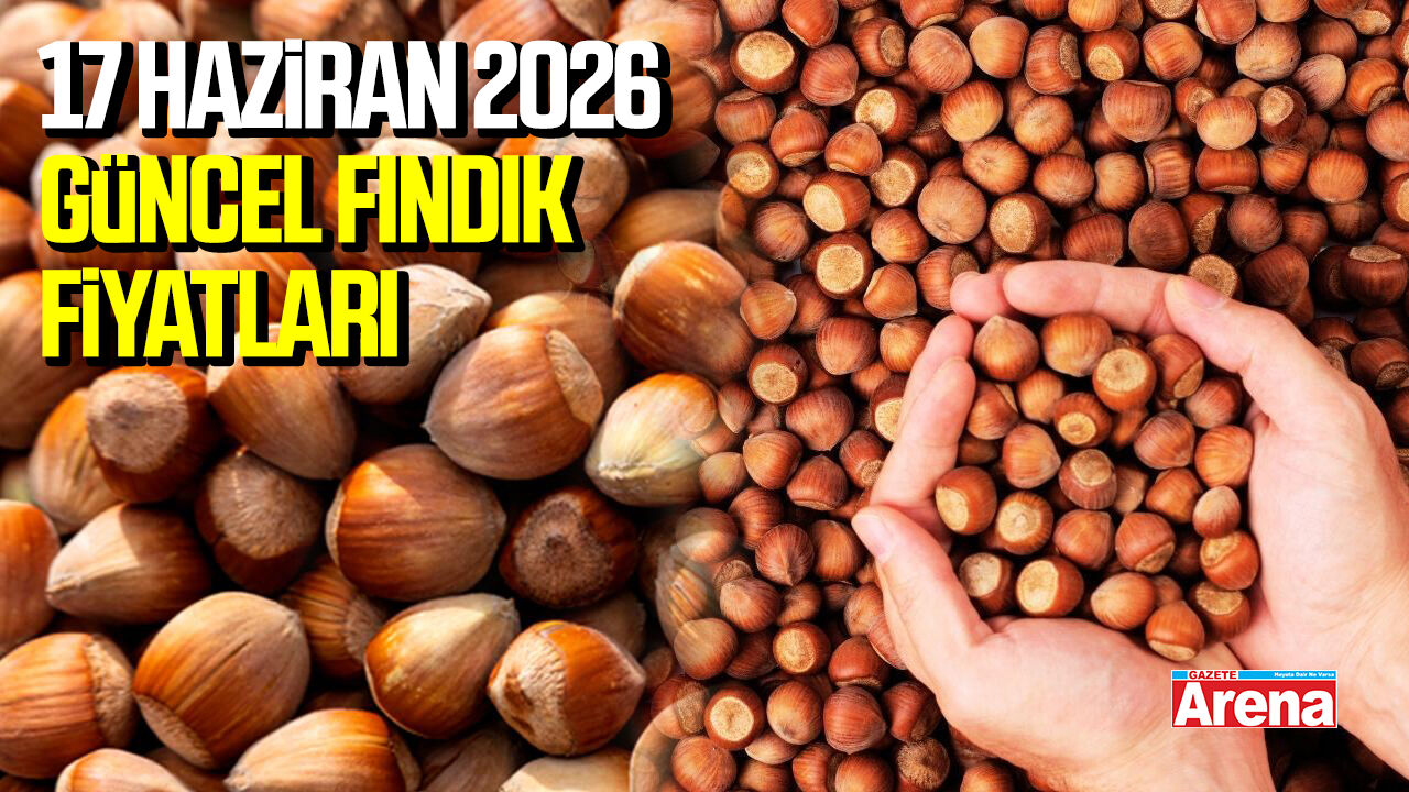 17 Haziran 2026 güncel fındık fiyatları