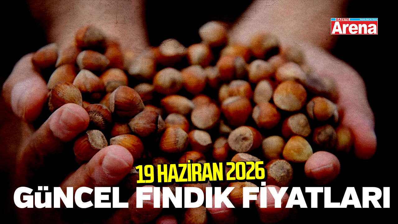 19 Haziran 2026 güncel fındık fiyatları
