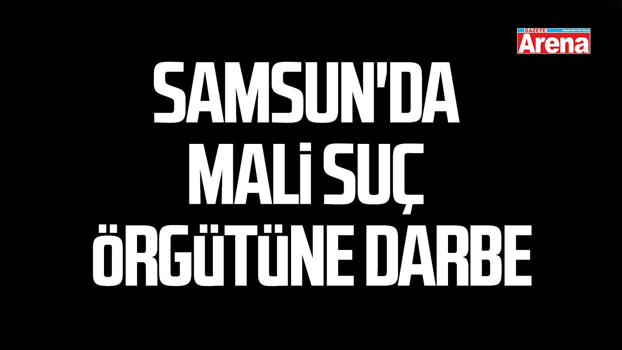 Samsun'da mali suç örgütüne darbe