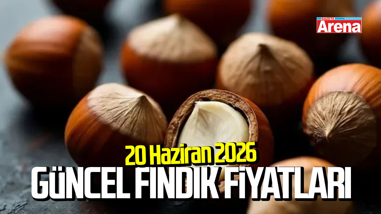 20 Haziran 2026 güncel fındık fiyatları