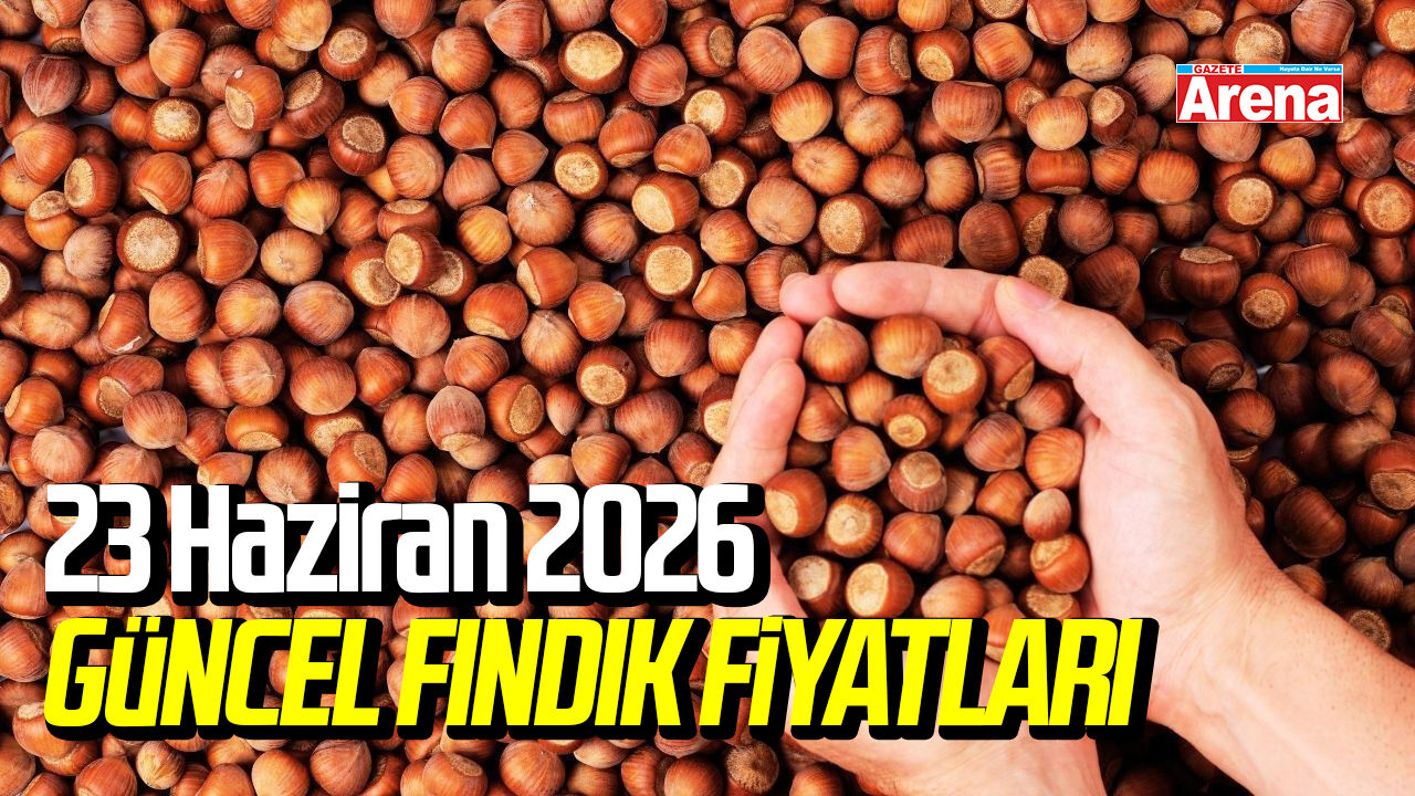 Samsun'da 225 TL: İşte 23 Haziran 2026 güncel fındık fiyatları