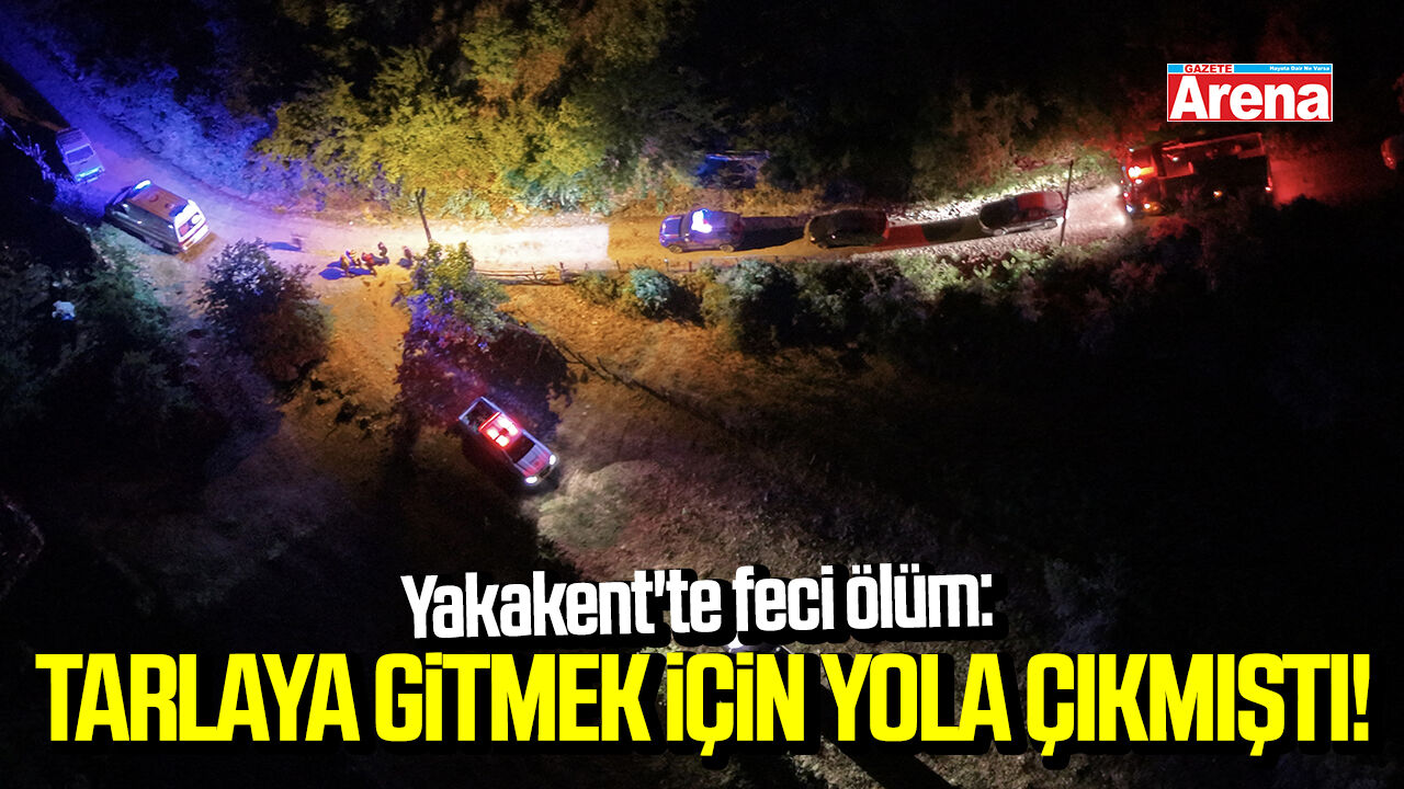 Yakakent'te feci ölüm: Tarlaya gitmek için yola çıkmıştı!