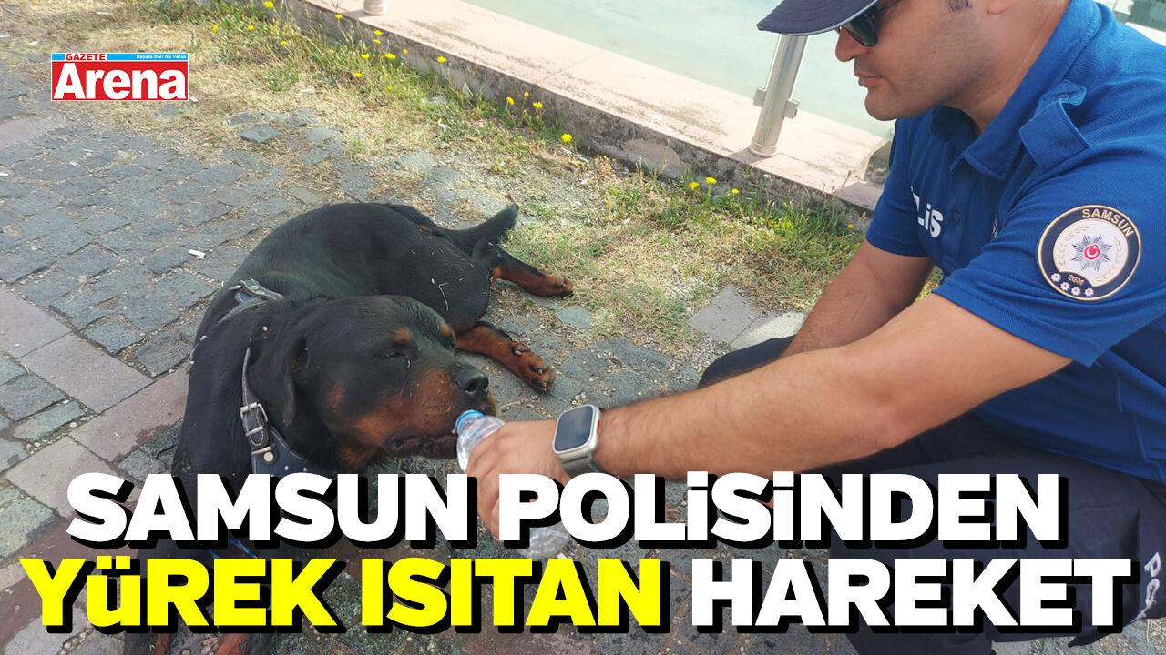 Samsun'da emniyet mensubundan yaralı köpeğe şefkat eli