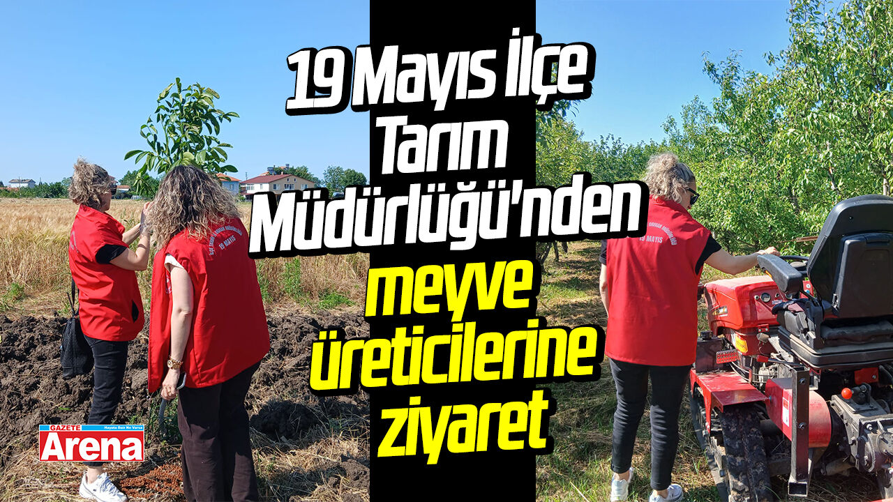 19 Mayıs İlçe Tarım Müdürlüğü'nden meyve üreticilerine ziyaret