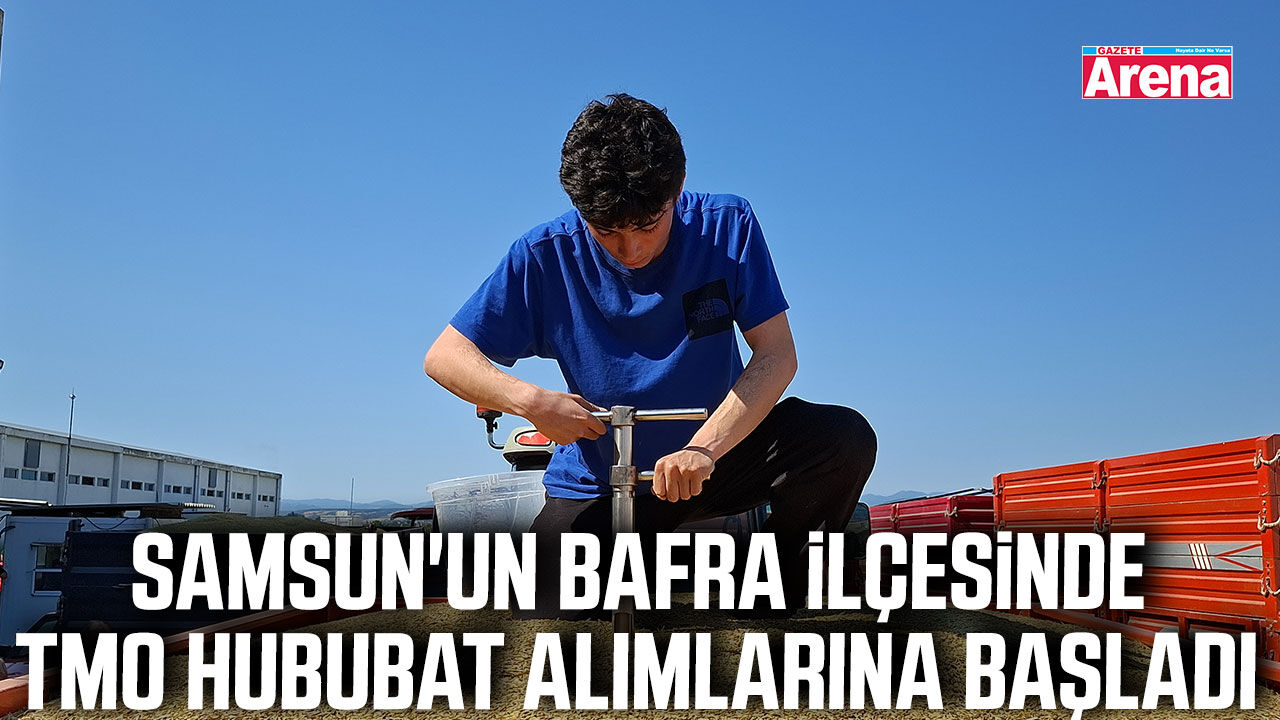 Bafra'da TMO hububat alımlarına başladı