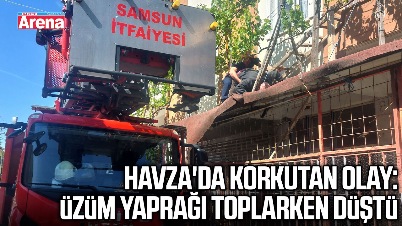 Havza'da korkutan olay: Üzüm Yaprağı toplarken düştü