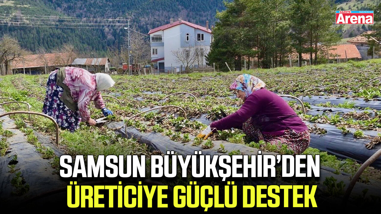 Samsun Büyükşehir’den üreticiye güçlü destek