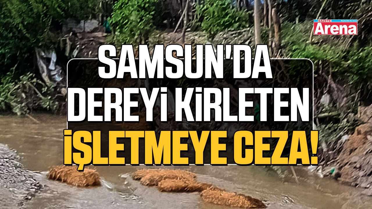 Samsun'da dereyi kirleten işletmeye ceza!