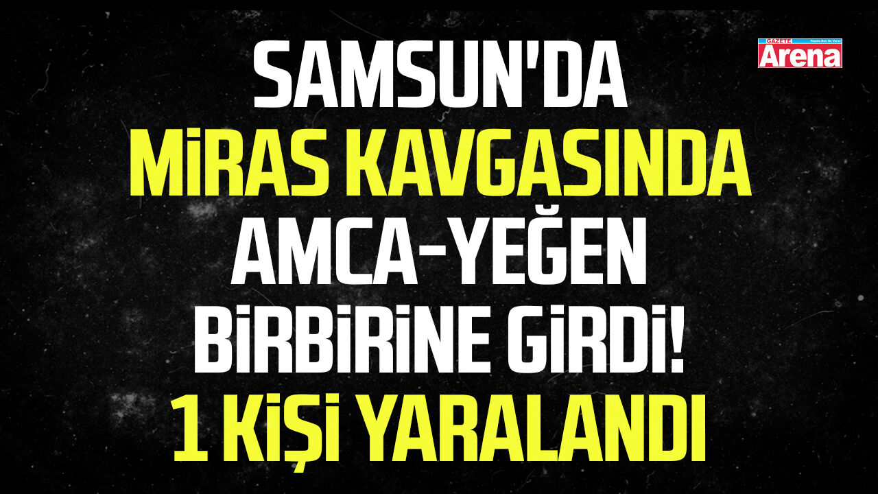 Samsun'da miras kavgasında amca-yeğen birbirine girdi!