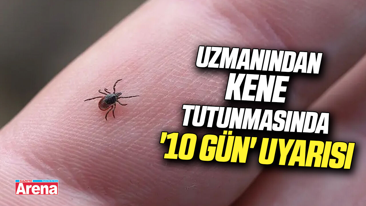 Uzmanından kene tutunmasında '10 gün' uyarısı