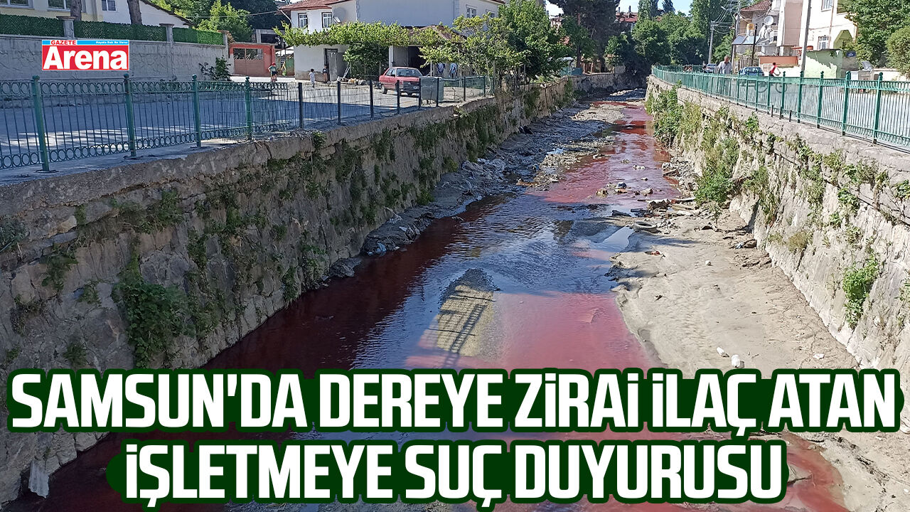 Samsun'da dereye zirai ilaç atan işletmeye suç duyurusu