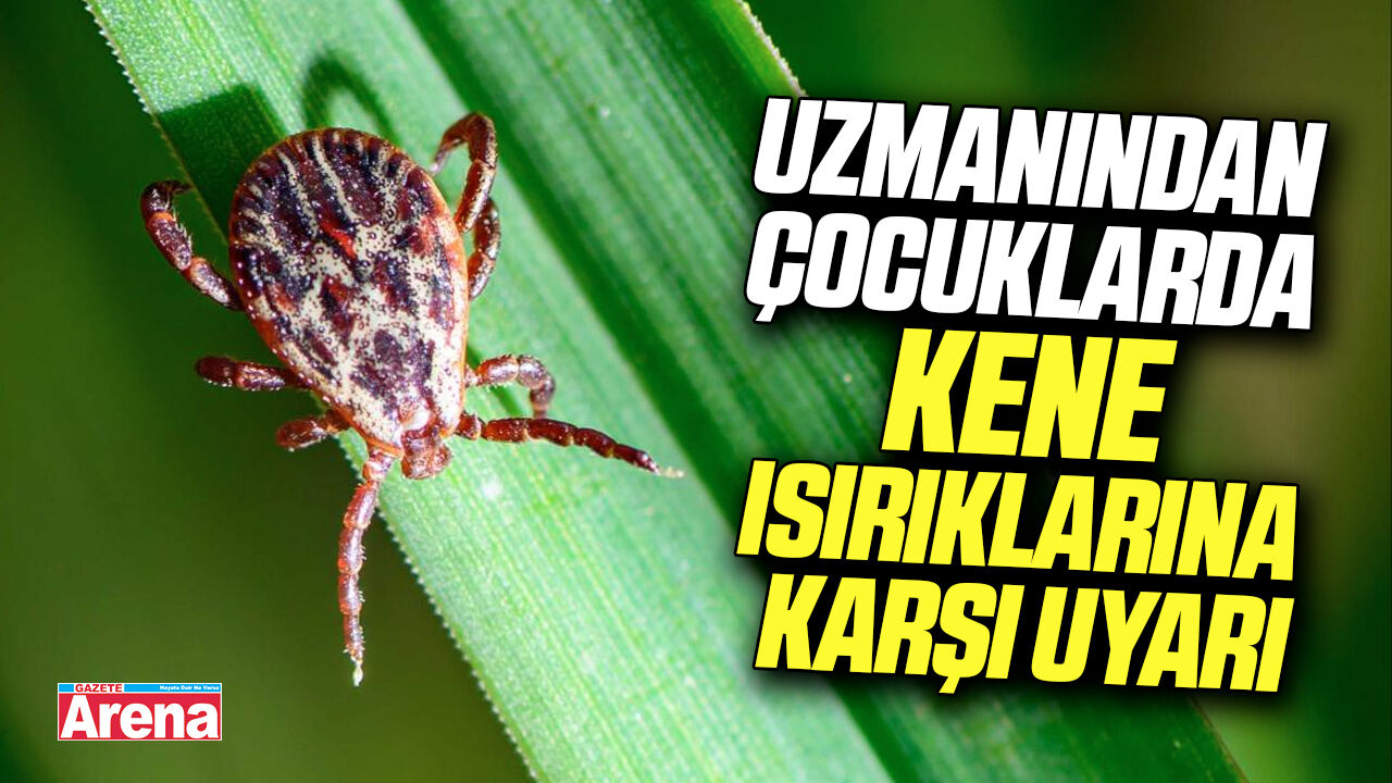 Uzmanından çocuklarda kene ısırıklarına karşı uyarı