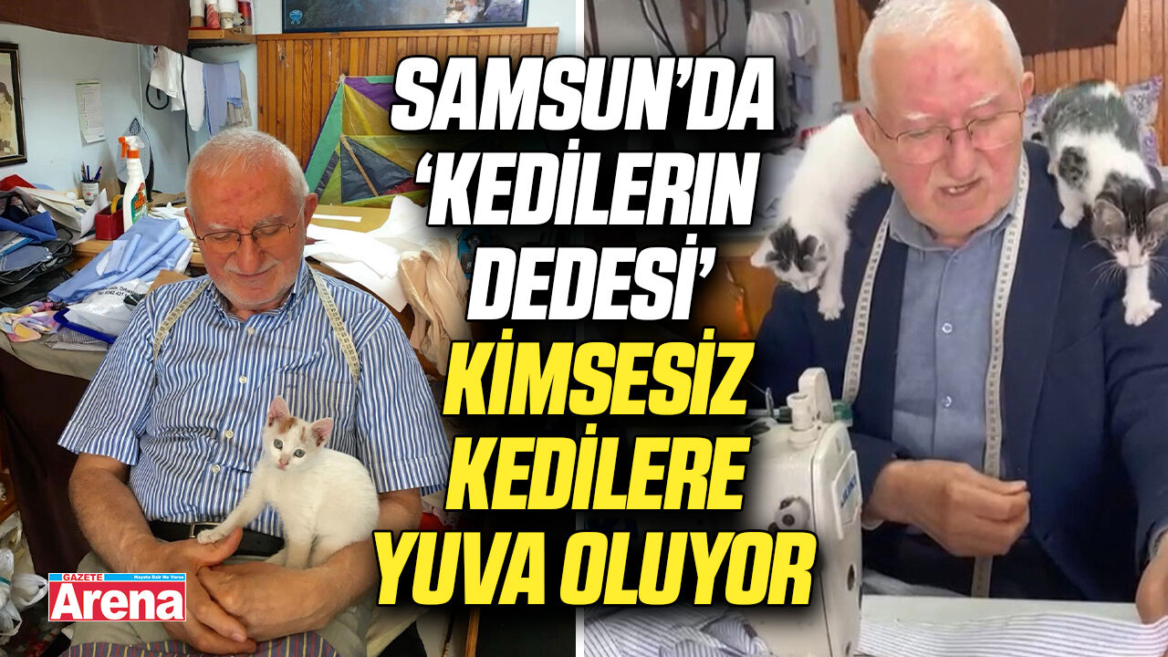 Samsun’da ‘Kedilerin Dedesi’ kimsesiz kedilere sıcak yuva oluyor