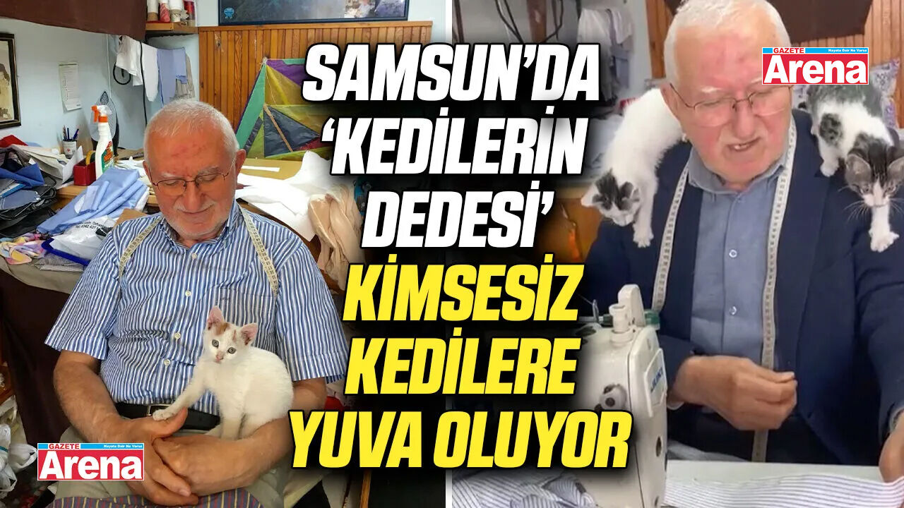 Samsun’da ‘Kedilerin Dedesi’ kimsesiz kedilere sıcak yuva oluyor