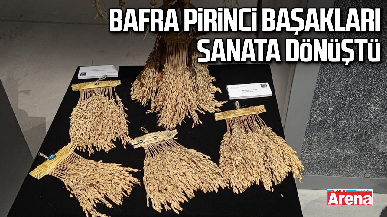 Bafra pirinci başakları sanata dönüştü