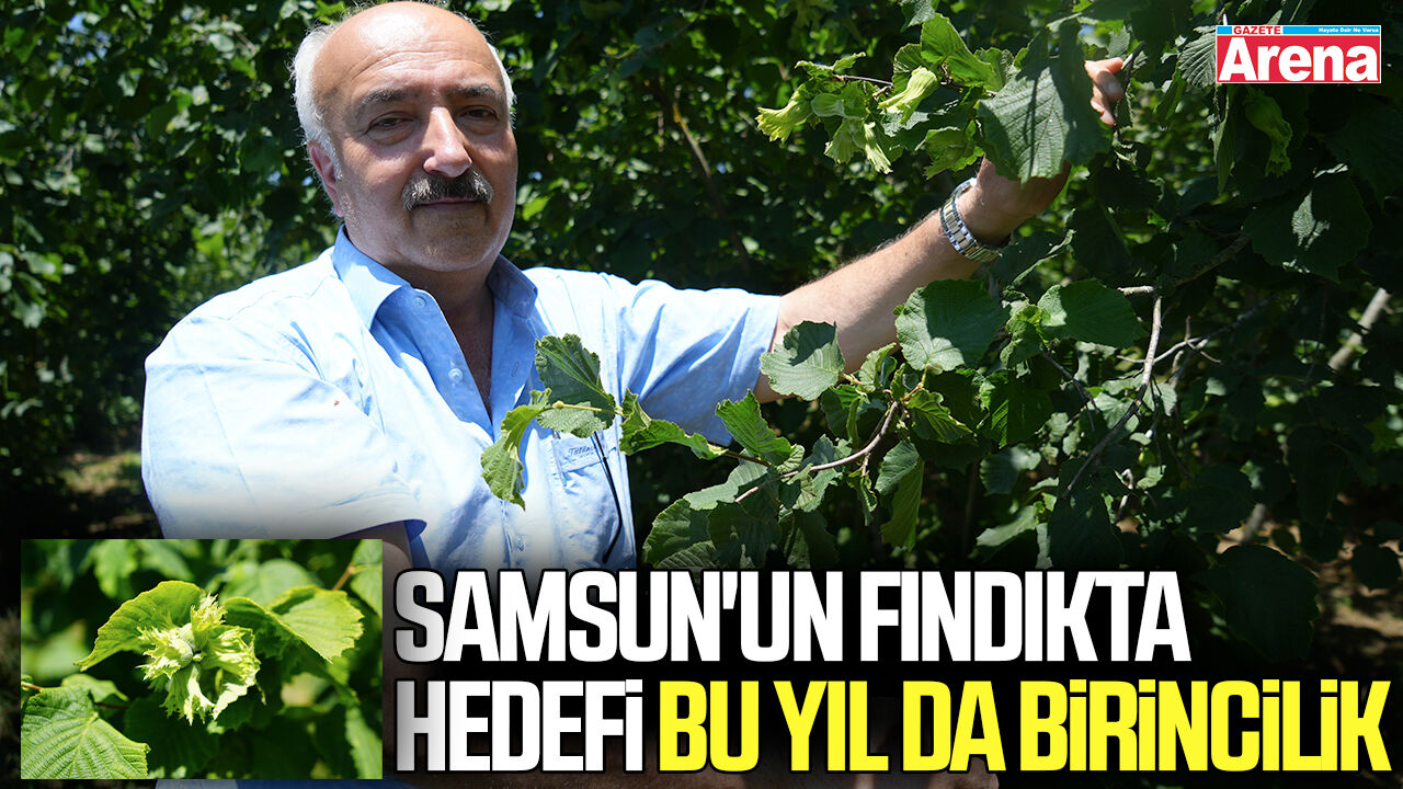 Samsun'un fındıkta hedefi bu yıl da birincilik
