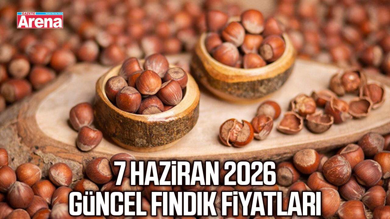 7 Haziran 2026 güncel fındık fiyatları