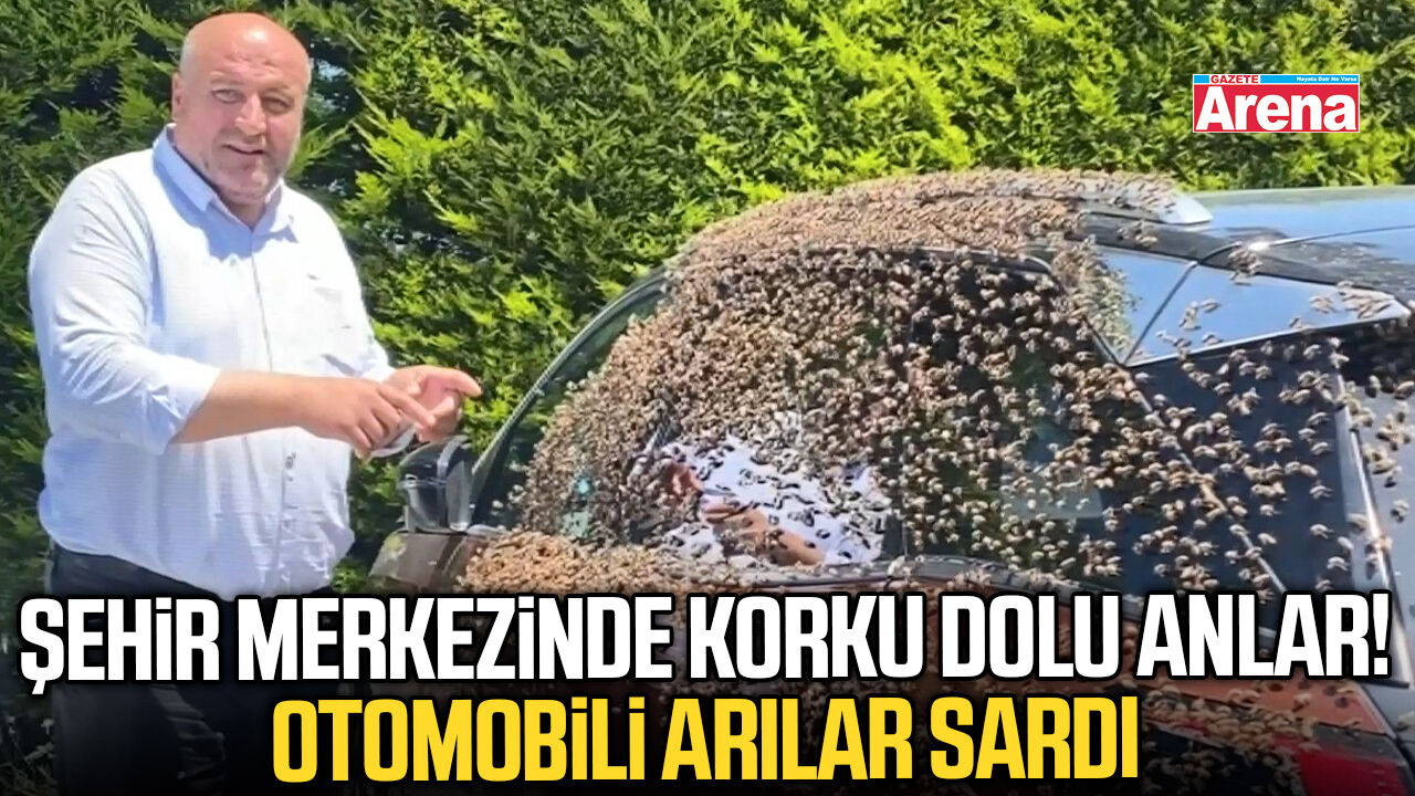 Şehir merkezinde korku dolu anlar! Otomobili arılar sardı