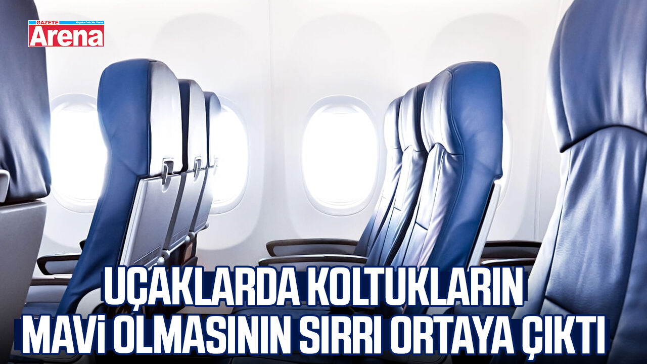 Uçaklarda koltukların mavi olmasının sırrı ortaya çıktı