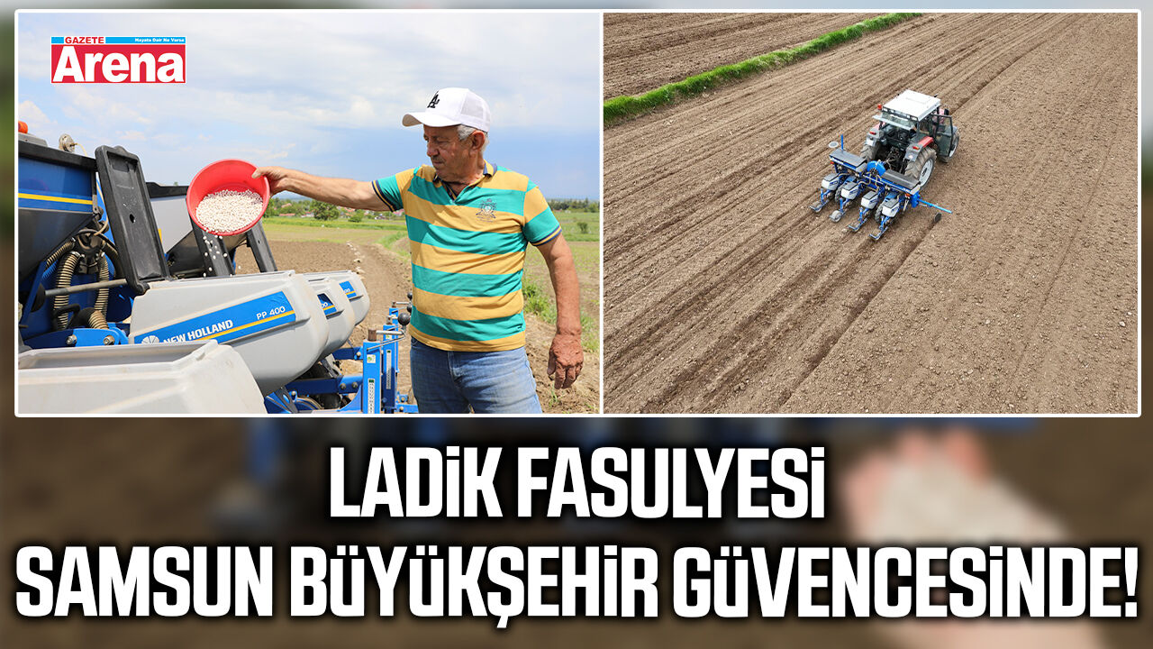 Ladik Fasulyesi Samsun Büyükşehir güvencesinde!