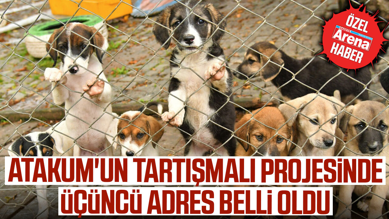 Atakum'da tartışmalı hayvan barınağı için üçüncü adres belirlendi