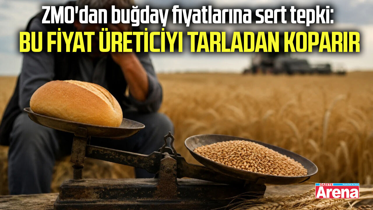 ZMO Samsun Şube Başkanı Bayzat: Bu fiyat üreticiyi tarladan koparır