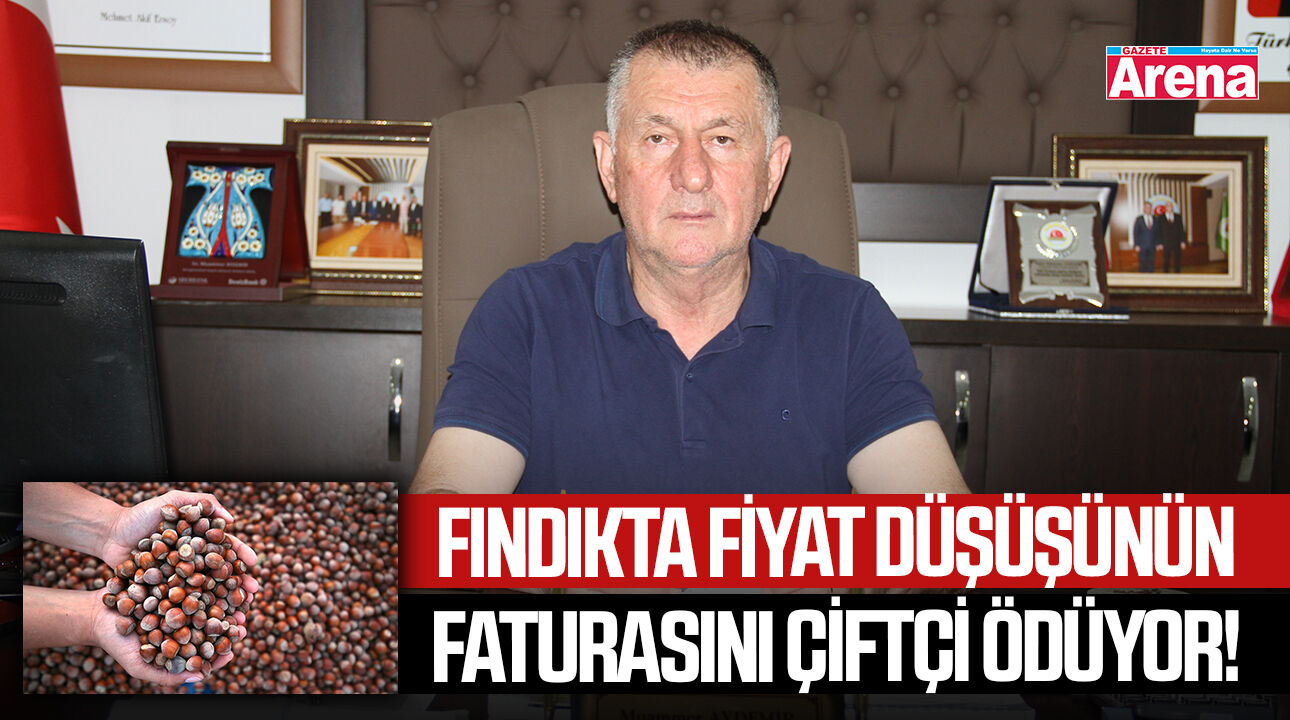 Fındıkta fiyat düşüşünün faturasını çiftçi ödüyor!