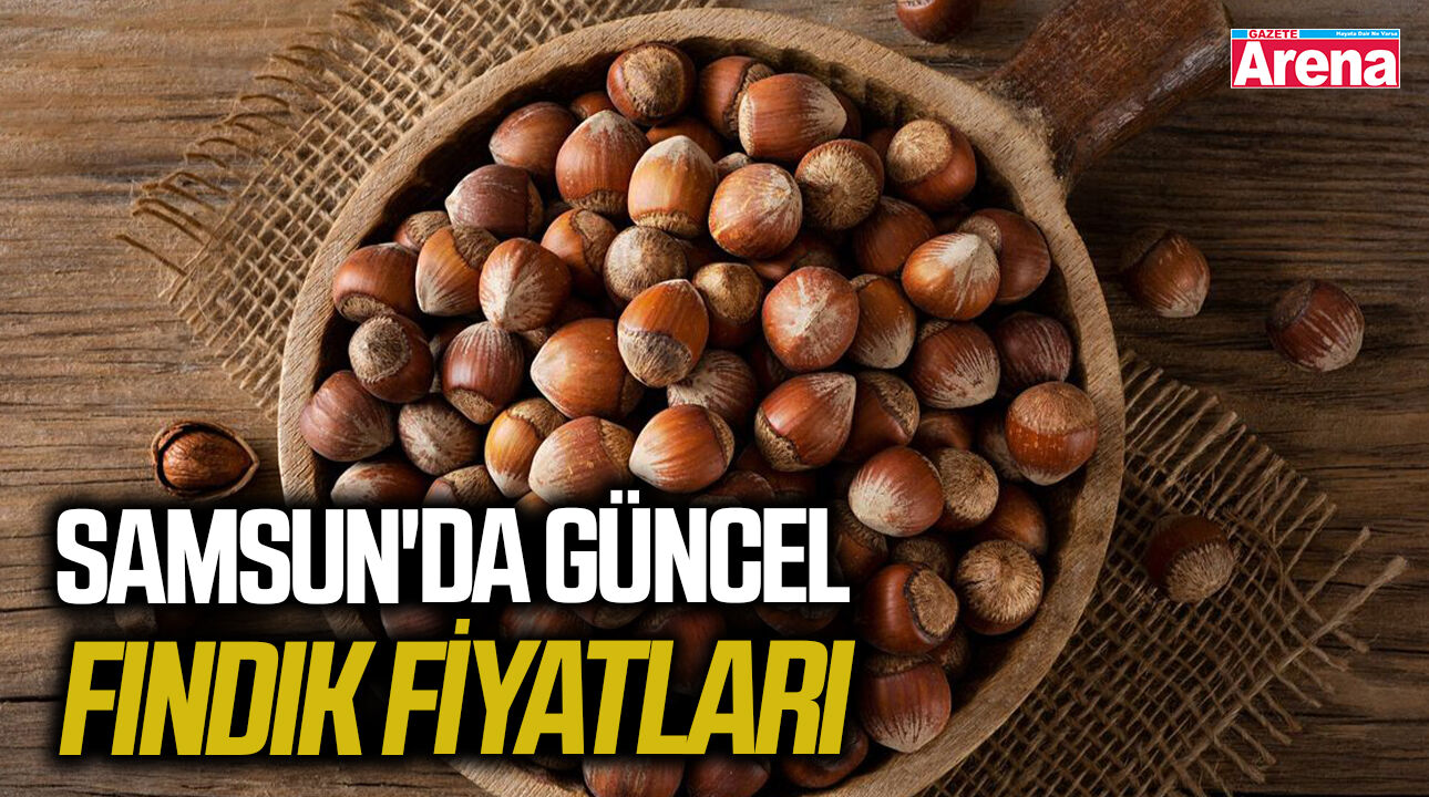 Samsun'da güncel fındık fiyatları