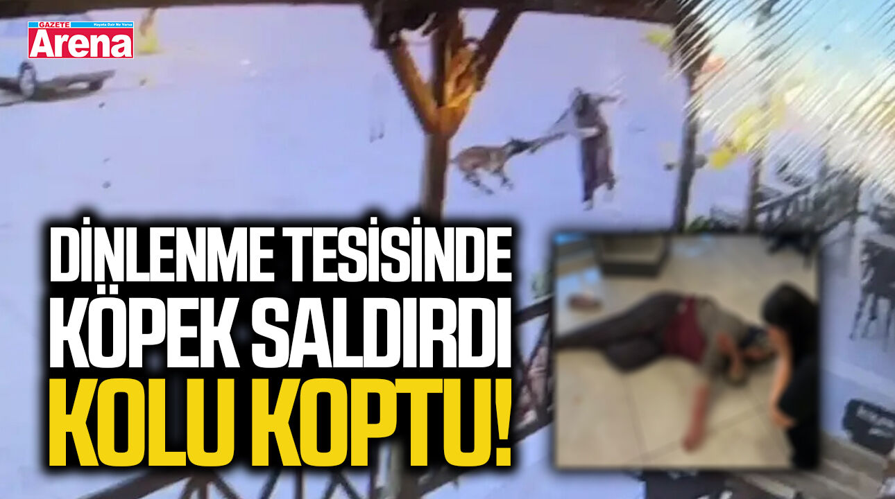 Dinlenme tesisinde köpek dehşeti! Kadının kolunu kopardı